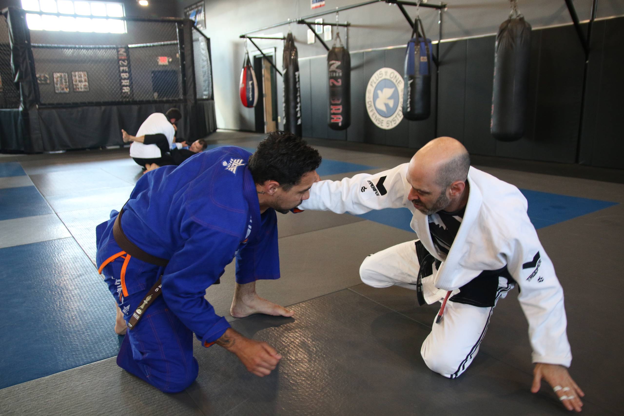 Brazilian Jiu Jitsu: only the rolls you want